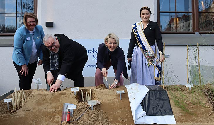(v.l.n.r.) Claudia Westner, Vorsitzende des Spargelerzeugerverbandes, MdB Erich Irlstorfer, Münchens 2. Bürgermeisterin Katrin Habenschaden und die Schrobenhausener Spargelkönigin Annalena Fischhaber beim Anstich auf dem Viktualienmarkt am 05.04.2023 (©Foto: Martin Schmitz(